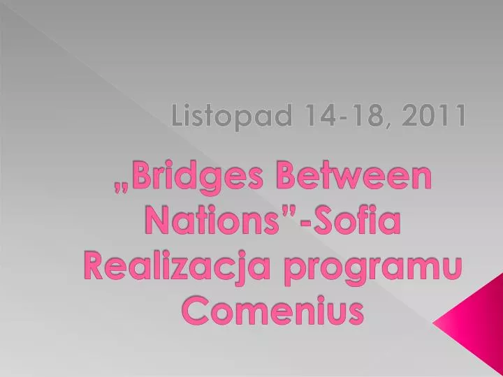 bridges between nations sofia realizacja programu comenius
