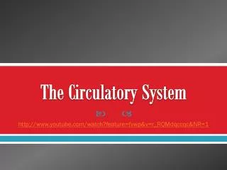 The Circulatory System