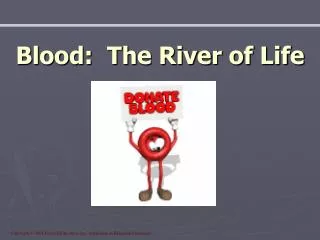 Blood: The River of Life