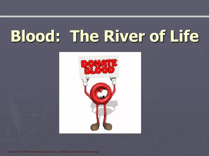 blood the river of life