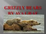 Grizzly bears By Ava Graf