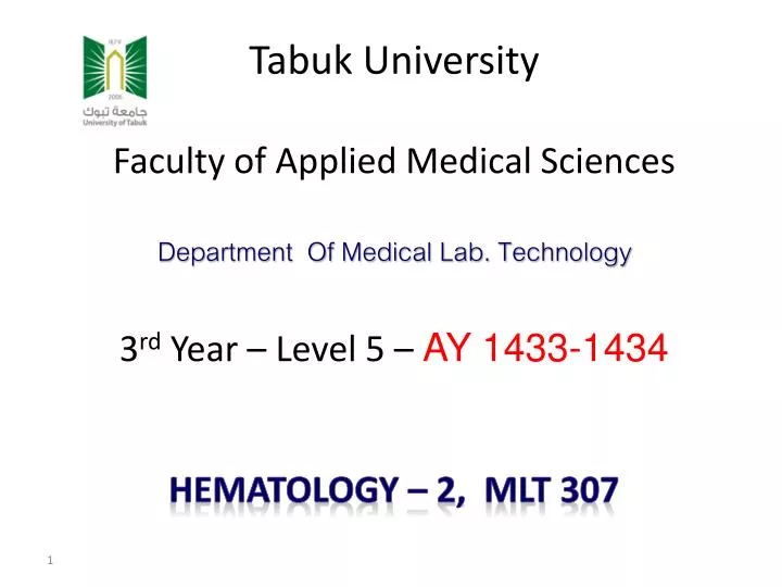 tabuk university
