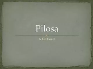 Pilosa
