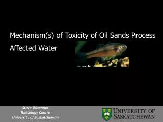 Mechanism(s) of Toxicity of Oil Sands Process Affected Water