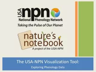 The USA-NPN Visualization Tool: Exploring Phenology Data