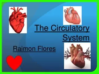 The Circulatory System