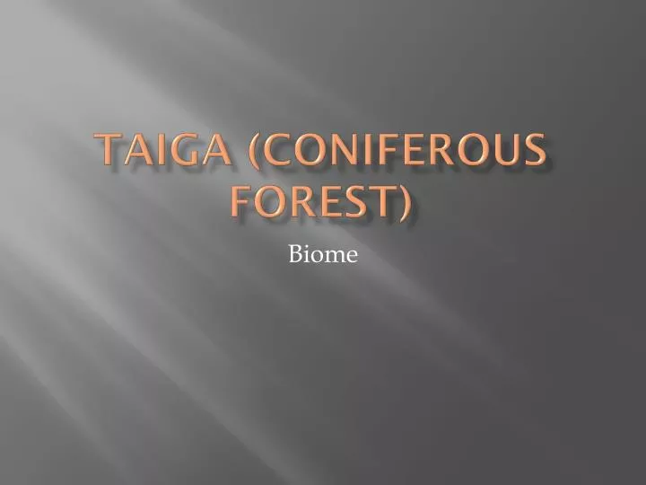 taiga coniferous forest