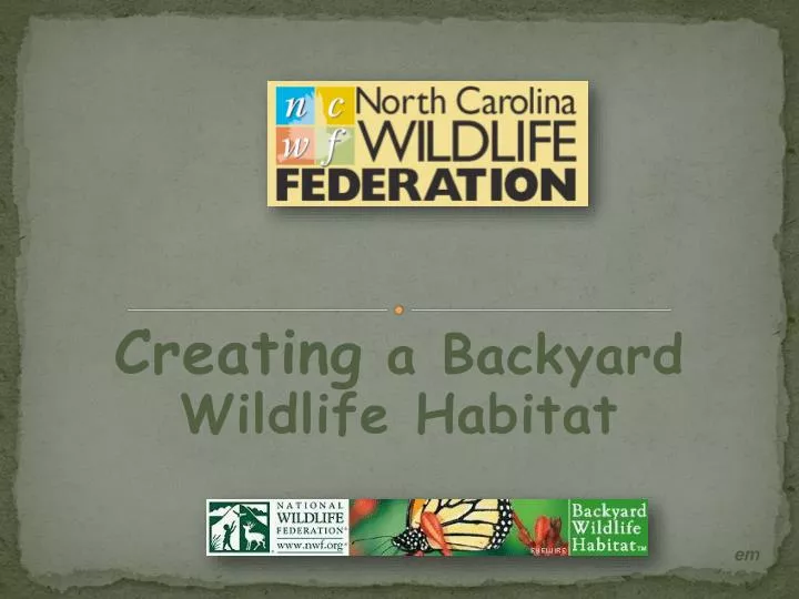 creating a backyard wildlife habitat