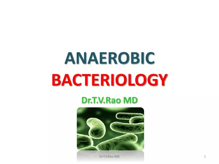 anaerobic bacteriology