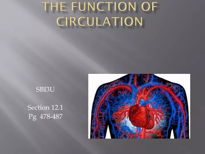 the function of circulation