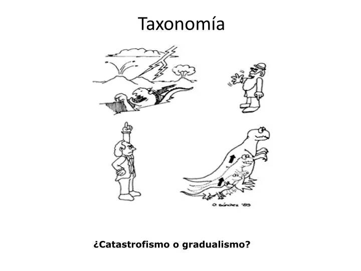 taxonom a