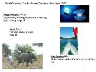 The Old Man And The Sea Section Two Vocabulary Pages 28-63