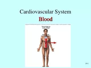 Cardiovascular System Blood