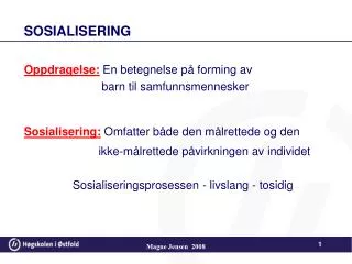 sosialisering