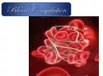 PPT - BLOOD COAGULATION PowerPoint Presentation, Free Download - ID:9111872