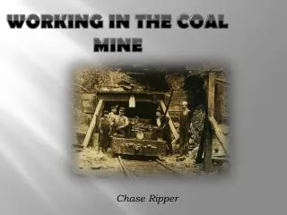 Working in the Coal Mine