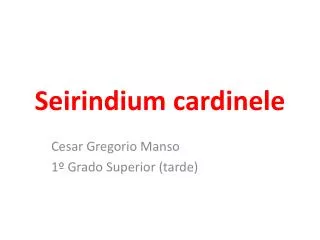 seirindium cardinele