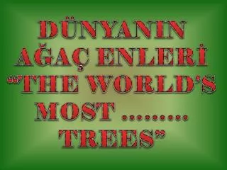 DÜNYANIN AĞAÇ ENLERİ “THE WORLD’S MOST ……… TREES”