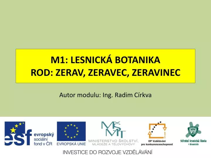 m1 lesnick botanika rod zerav zeravec zeravinec