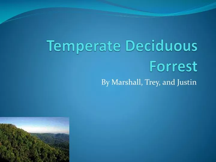 temperate deciduous forrest