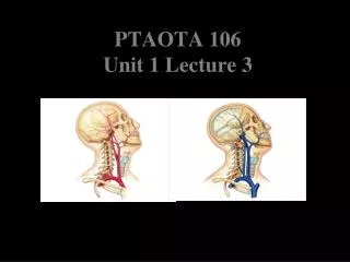 PTAOTA 106 Unit 1 Lecture 3
