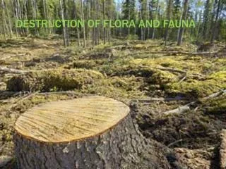destruction of flora and fauna