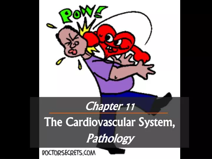 chapter 11 the cardiovascular system pathology