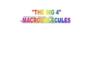 &quot;THE BIG 4&quot; MACROMOLECULES