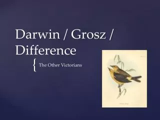 Darwin / Grosz / Difference
