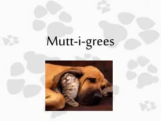 Mutt- i - grees