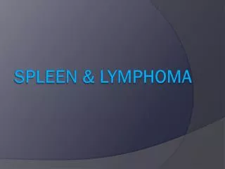 Spleen &amp; Lymphoma