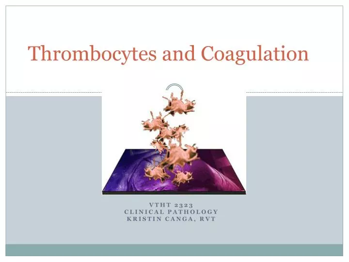 thrombocytes and coagulation