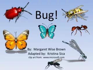 Bug! By: Margaret Wise Brown Adapted by: Kristina Sica clip art from: www.microsoft.com