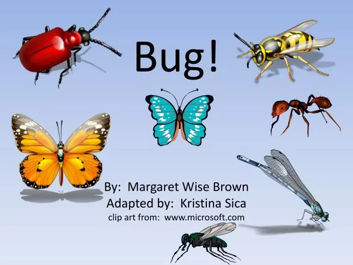 bug by margaret wise brown adapted by kristina sica clip art from www microsoft com