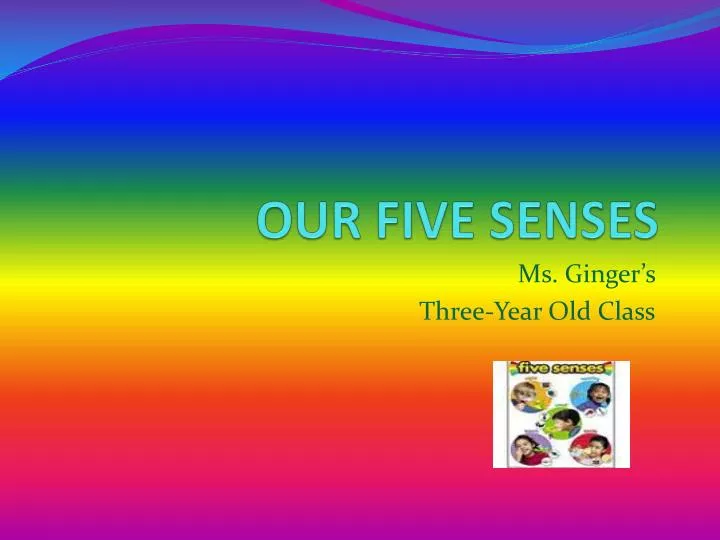 our five senses