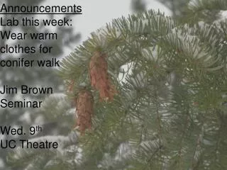 Announcements Lab this week: Wear warm clothes for conifer walk Jim Brown Seminar Wed. 9 th