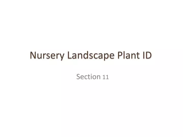 nursery landscape plant id