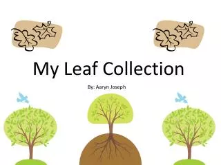 My Leaf Collection