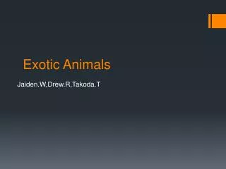 Exotic Animals