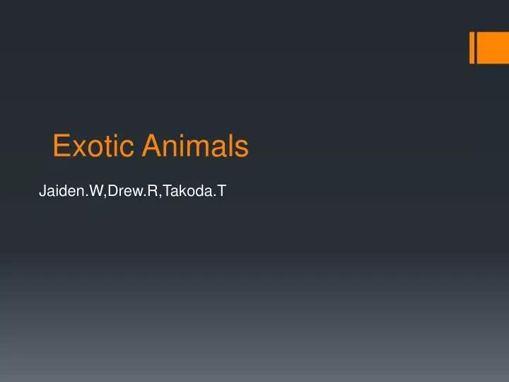 exotic animals