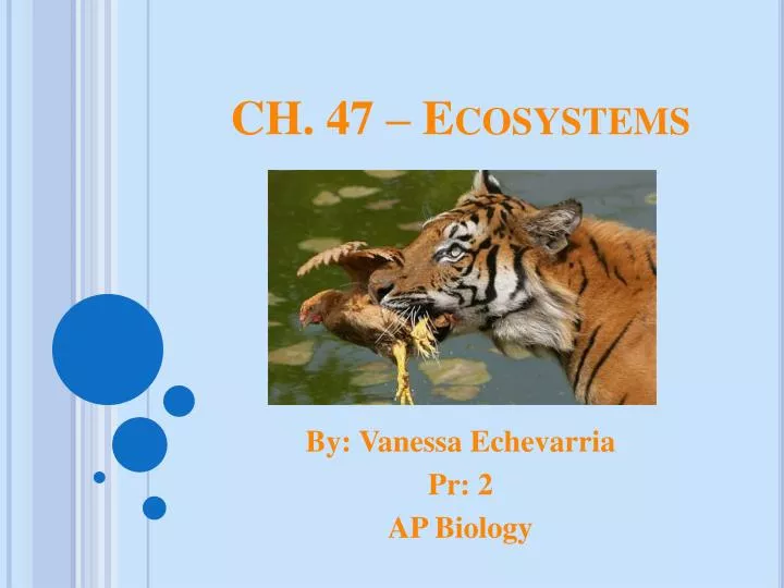 ch 47 ecosystems