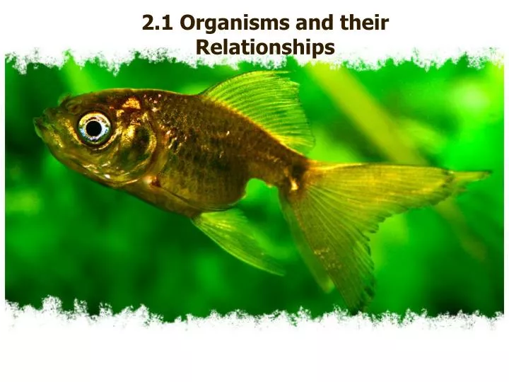 2 1 organisms and their relationships