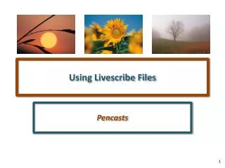 using livescribe files