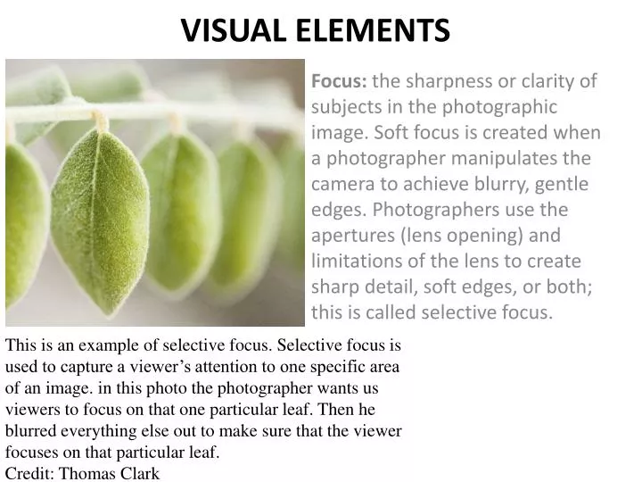 visual elements