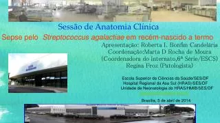 sess o de anatomia cl nica