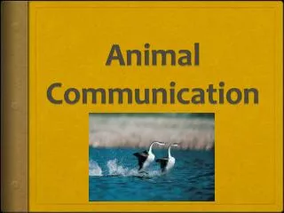 Animal Communication