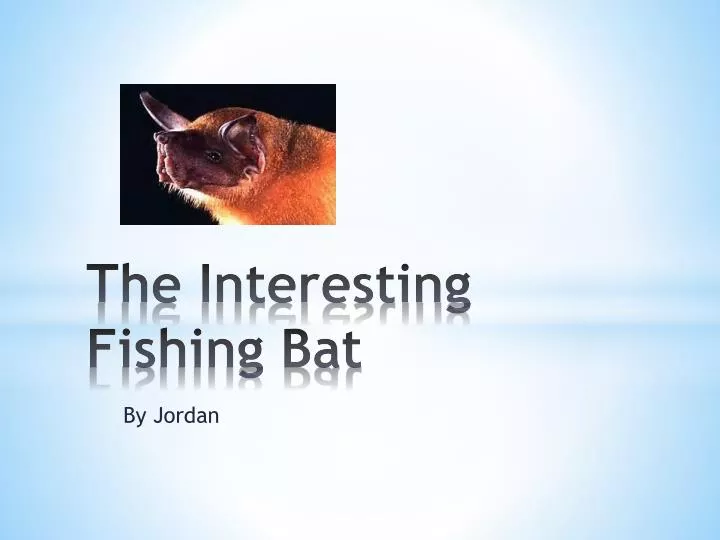 the interesting f ishing bat