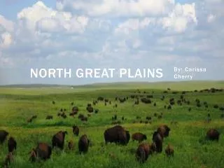 North Great Plains
