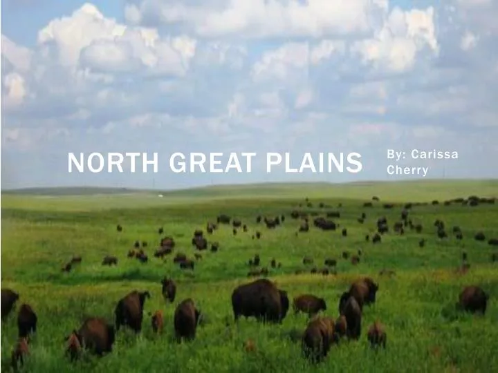 north great plains