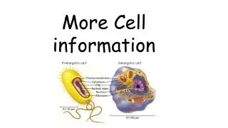 More Cell information